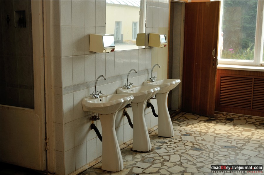 усадьба Глинки Якова Брюса (пансионат Монино)