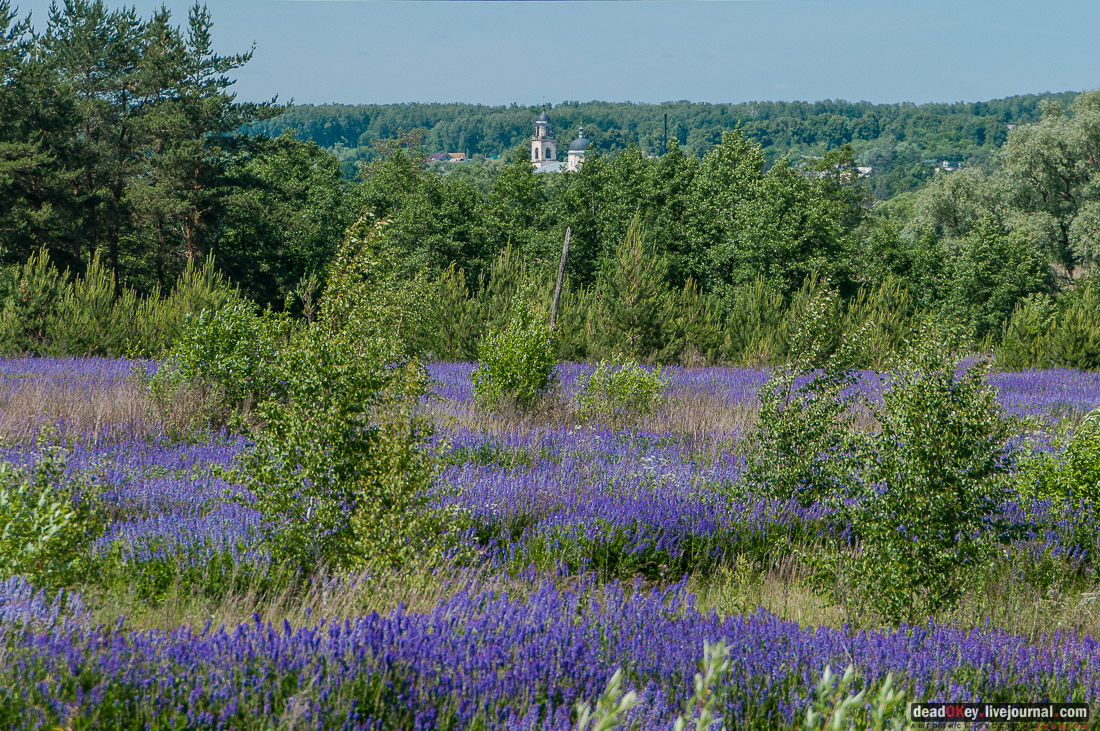 усадьба Мещерино