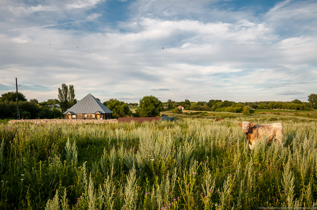 усадьба Озерки