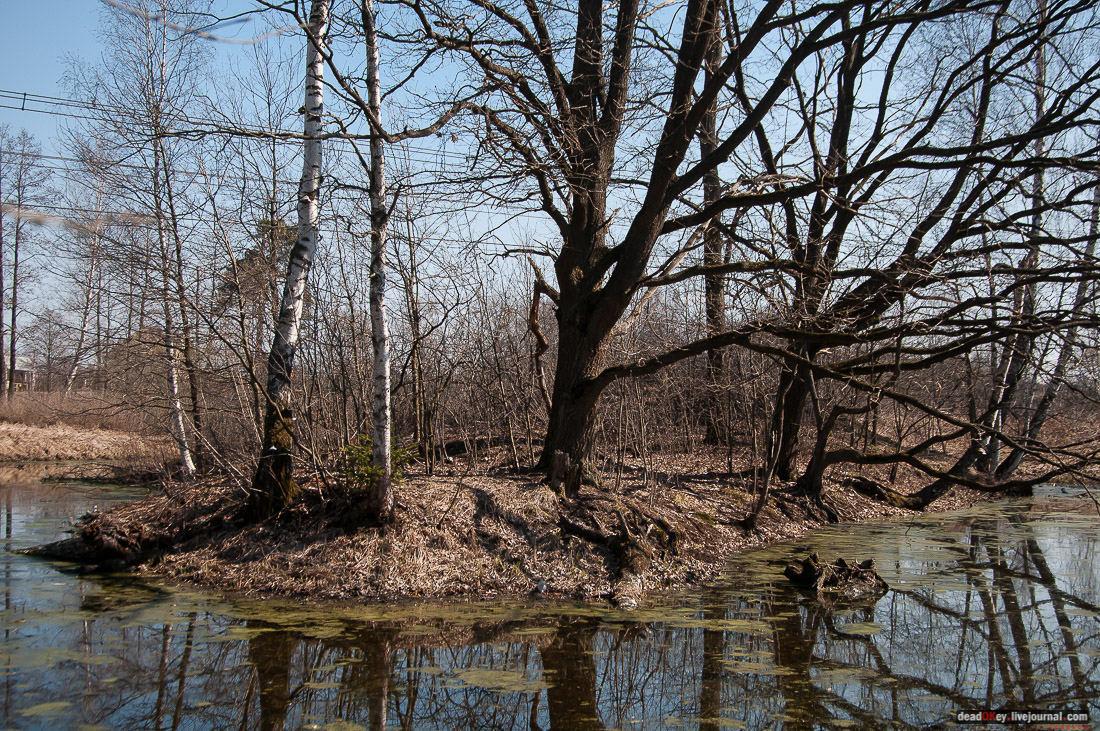 усадьба Савинское (исследование масонского парка)