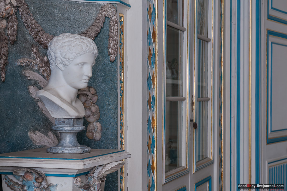 усадьба Кусково библиотека