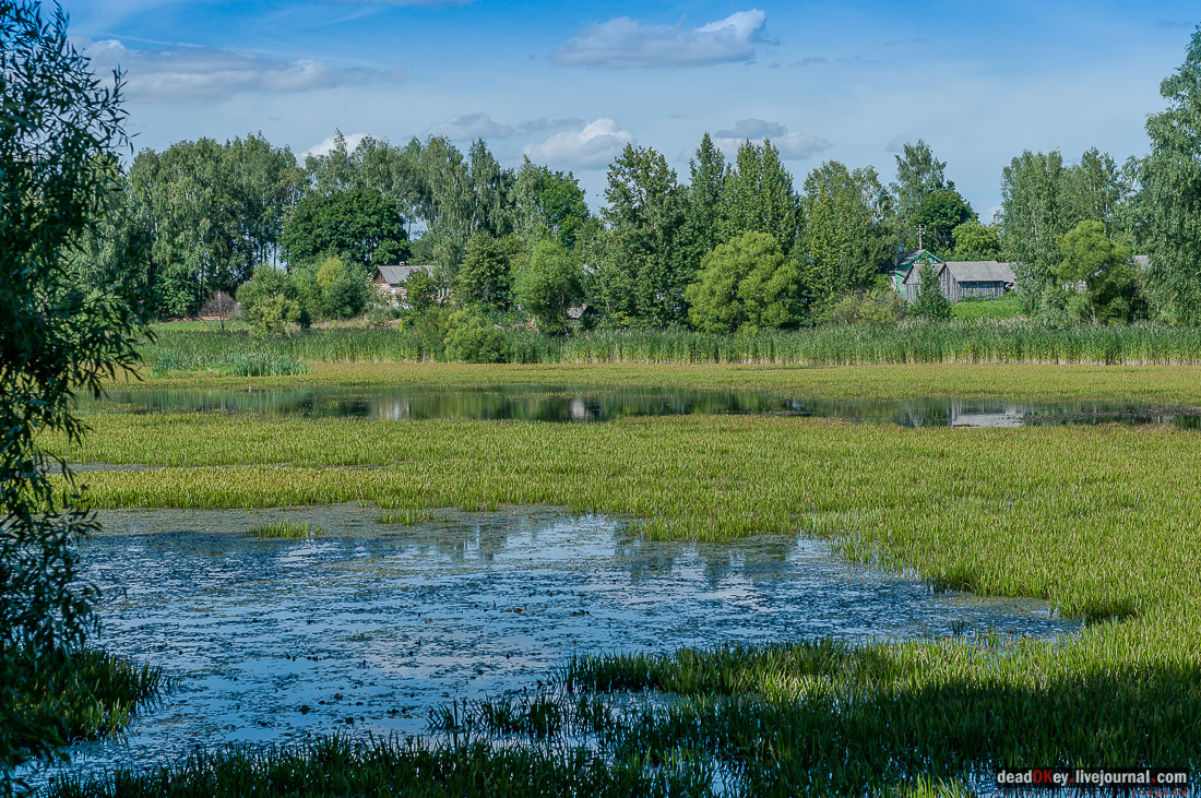 усадьба Потапово