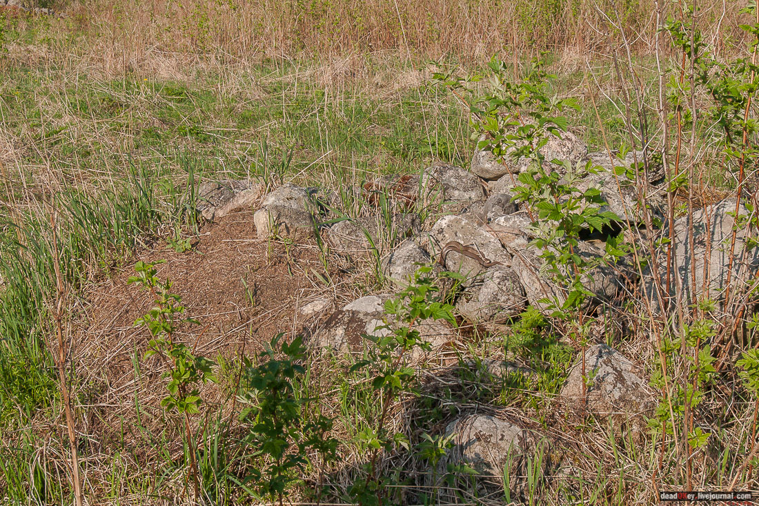 заброшенная деревня Сяпчозеро, Карелия, Кондопожский район