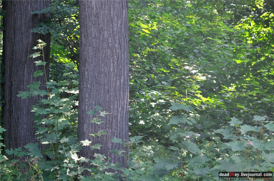 усадьба Лукино-Варино