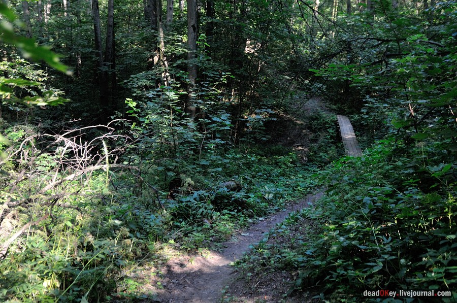 усадьба Шишкино