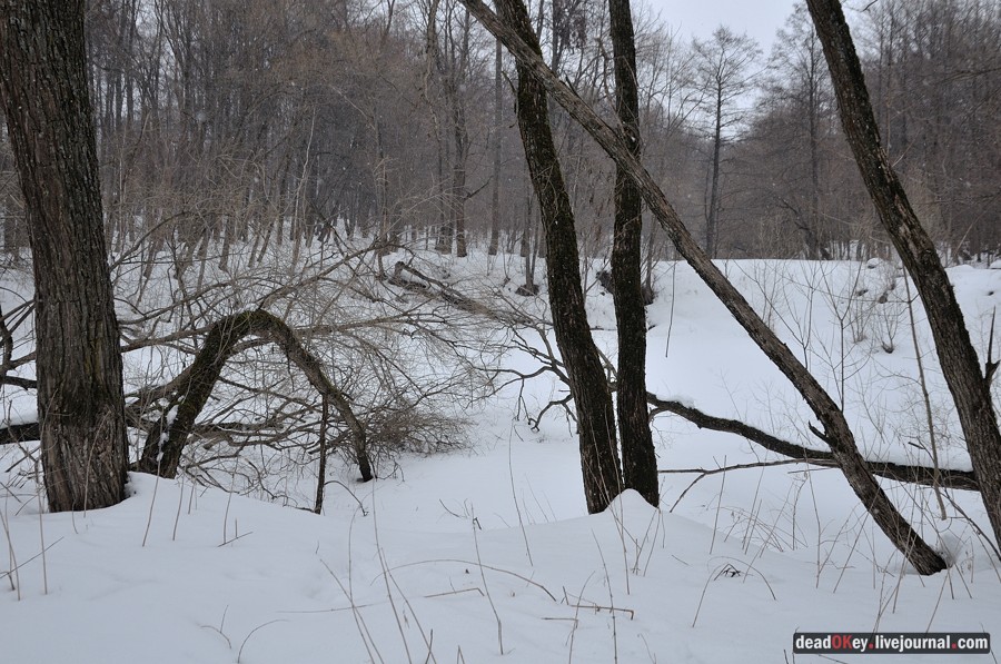 усадьба Марьинка