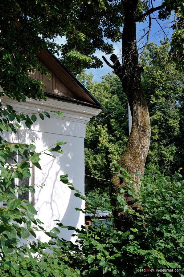 усадьба Алмазово