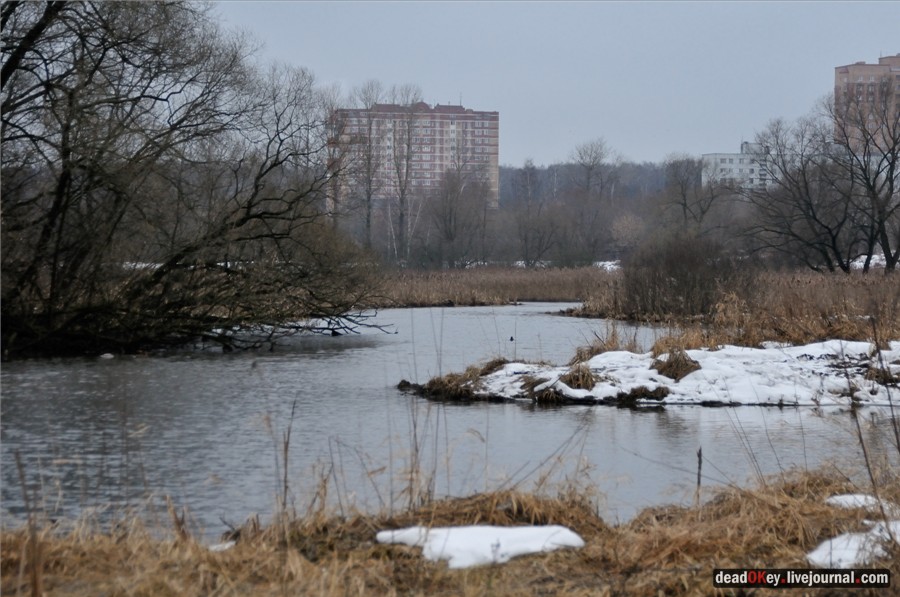 усадьба Пехра-Яковлевское