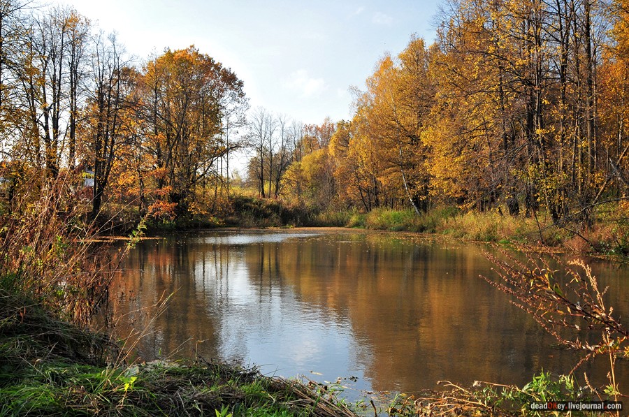 усадьба Путятино