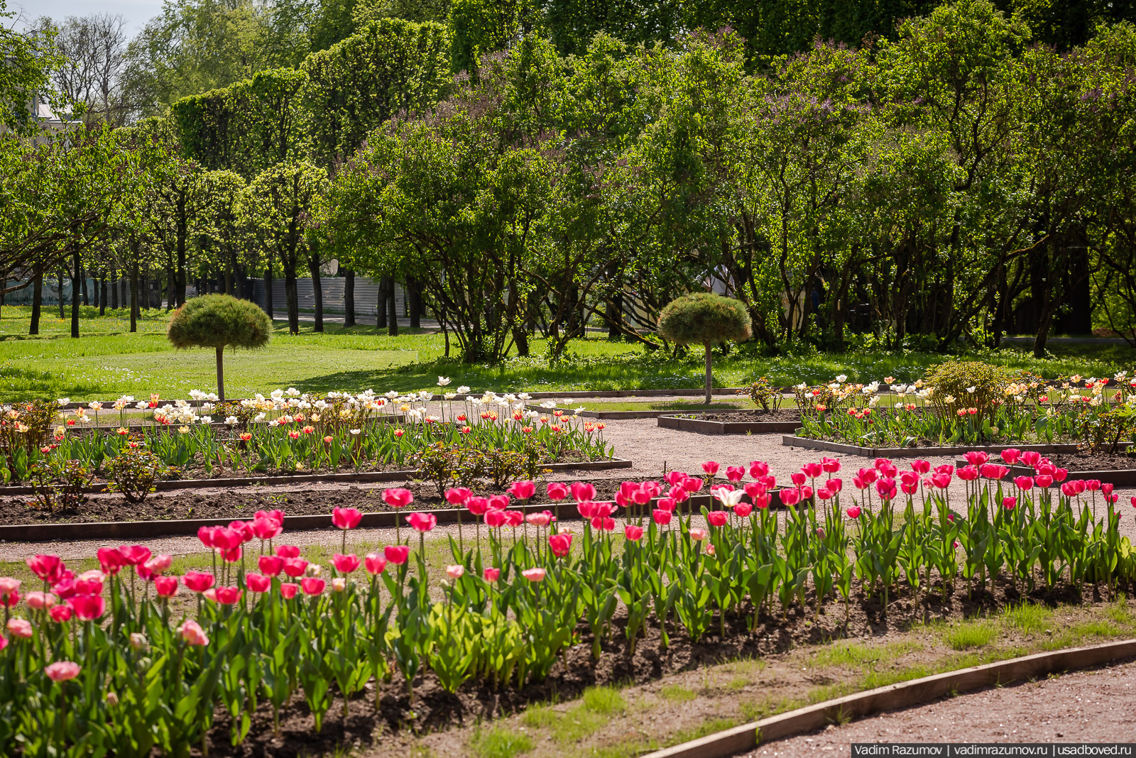 усадьба Архангельское, весна, май 2021