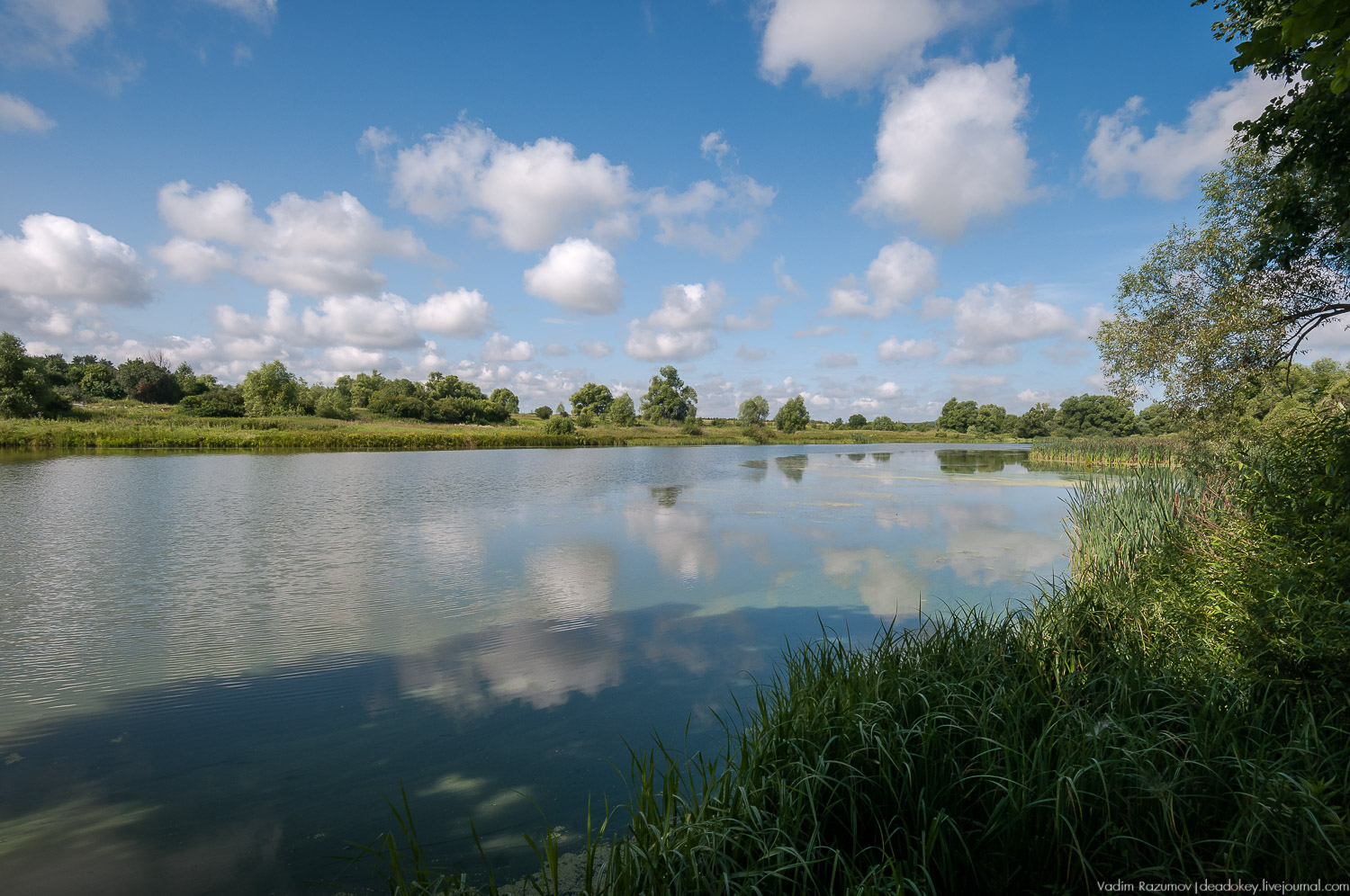 усадьба Старое Зимино, Рязанская область, волонтерский субботник, интервью