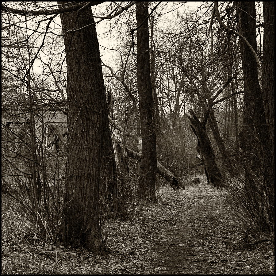 Парковые аллеи в русских усадьбах