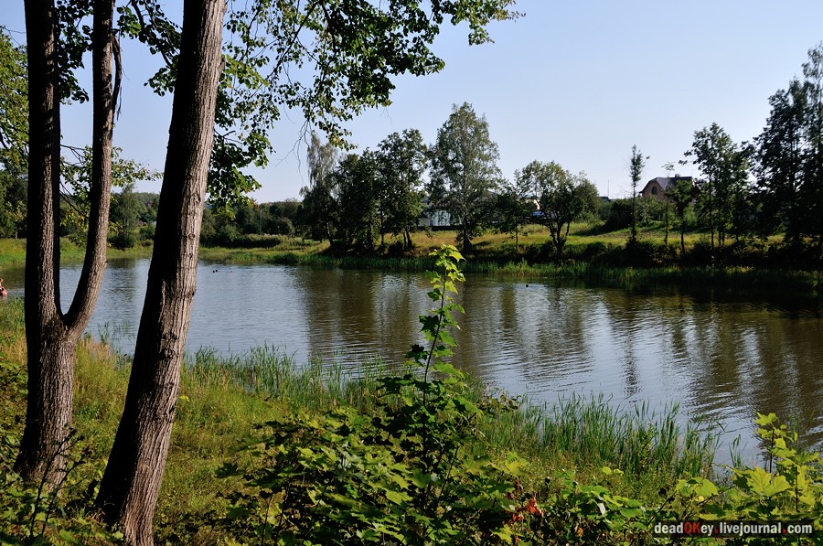 усадьба Шишкино