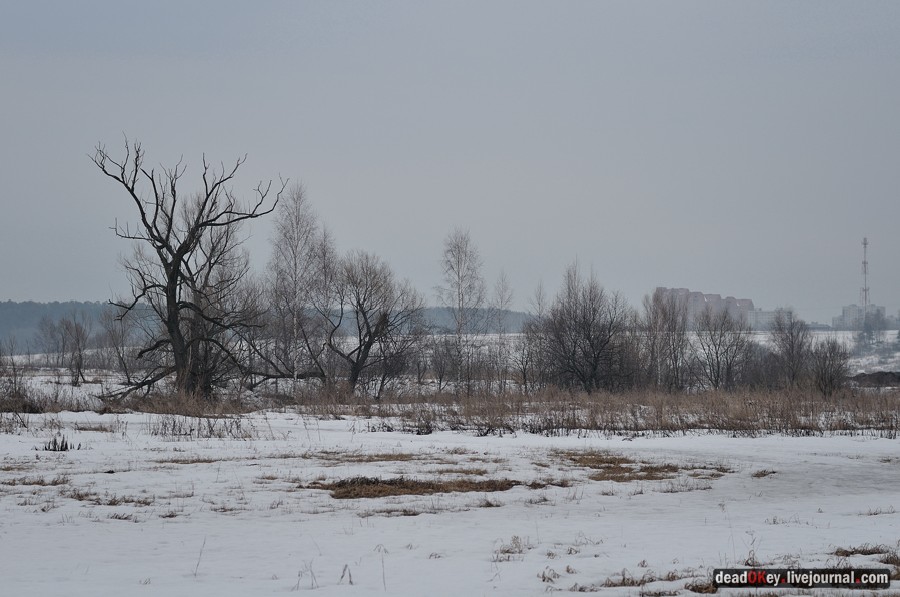 усадьба Иславское