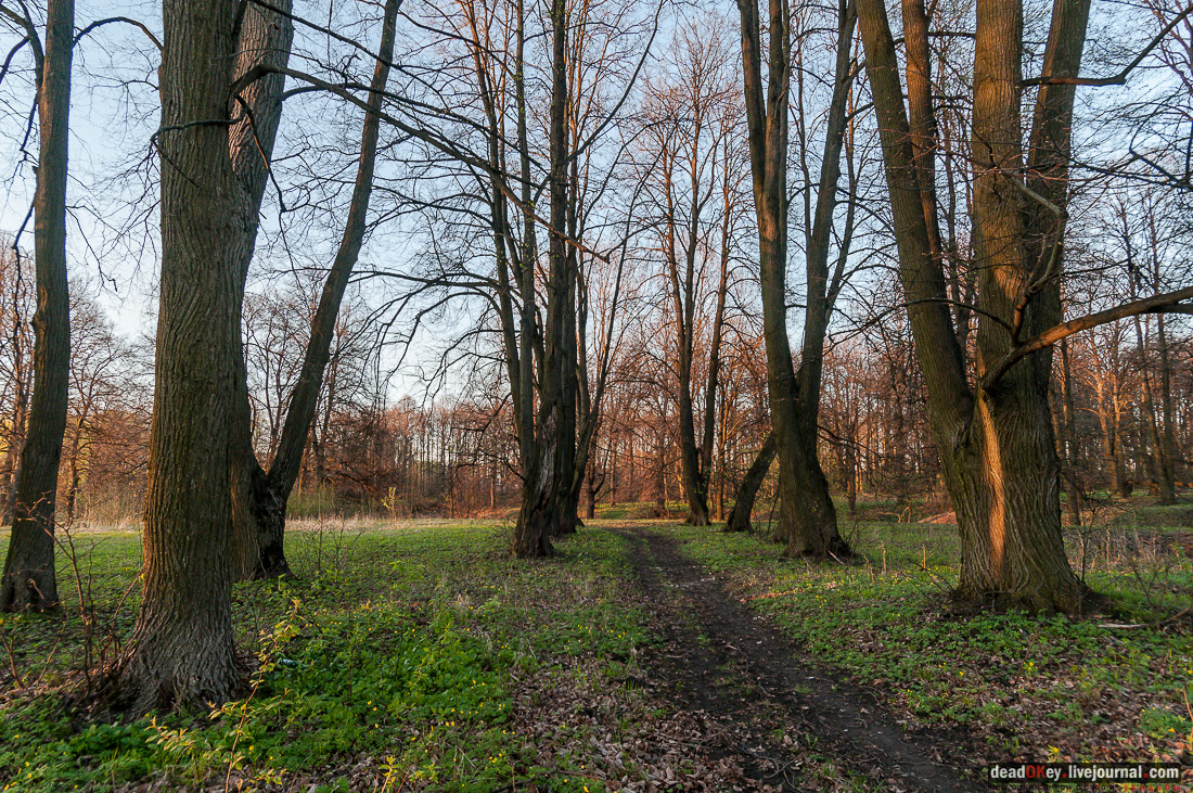 Усадьба Стародуб