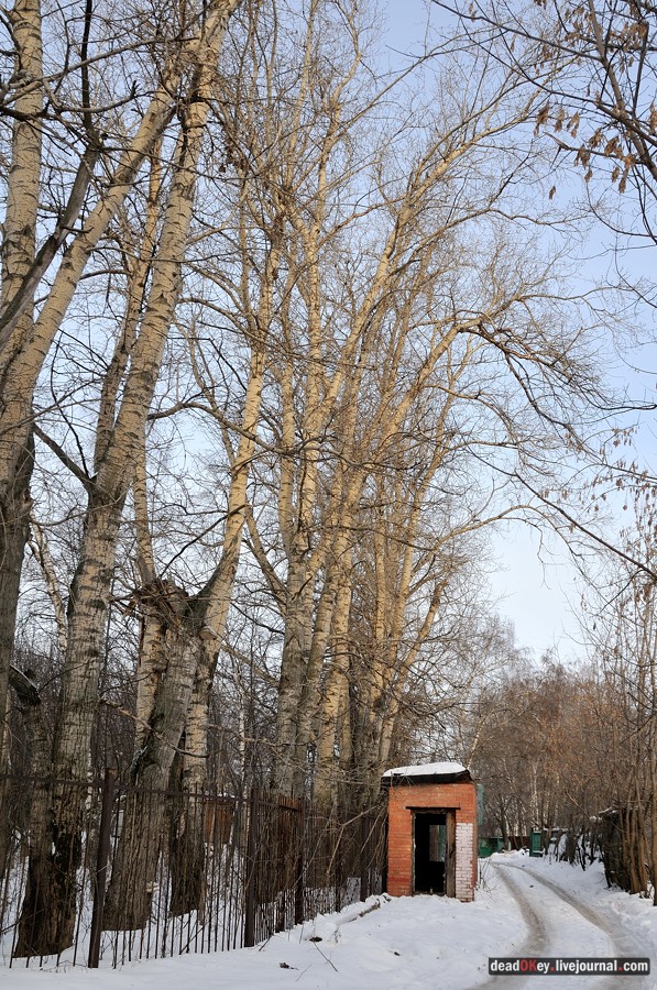 Косино