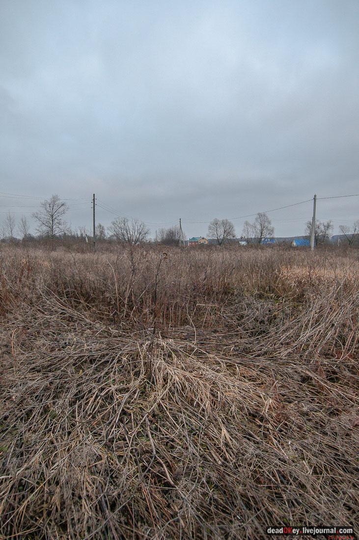 Усадьба Ляхово, съемки на НТВ-Сегодня