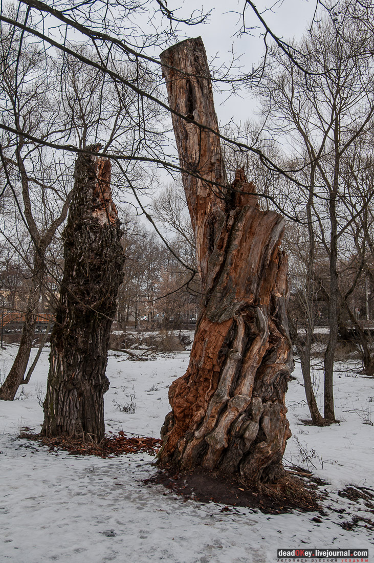 Лопасня-Зачатьевское