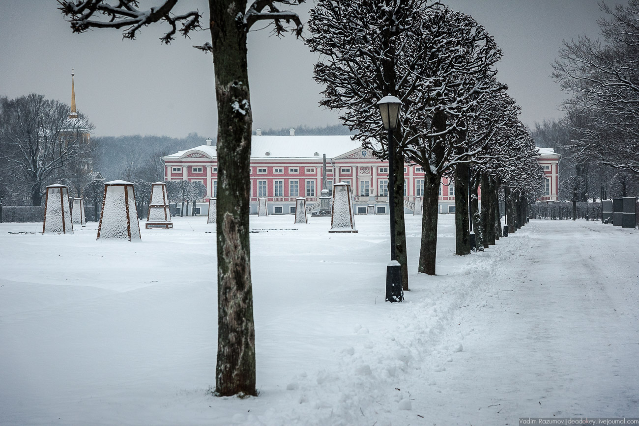 Усадьба Кусково зимой, 2018 год