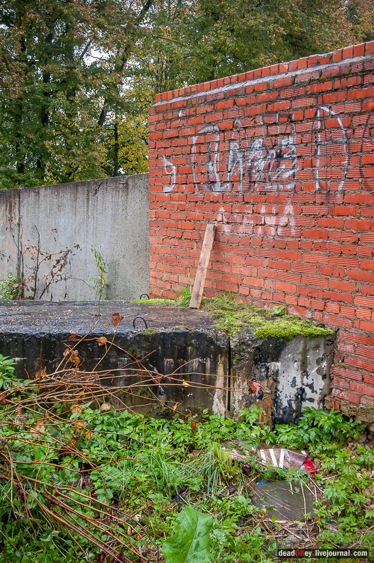 усадьба Сонино