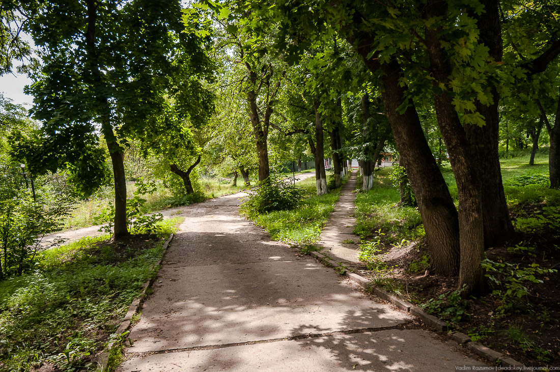 усадьба Стегаловка Ведровых