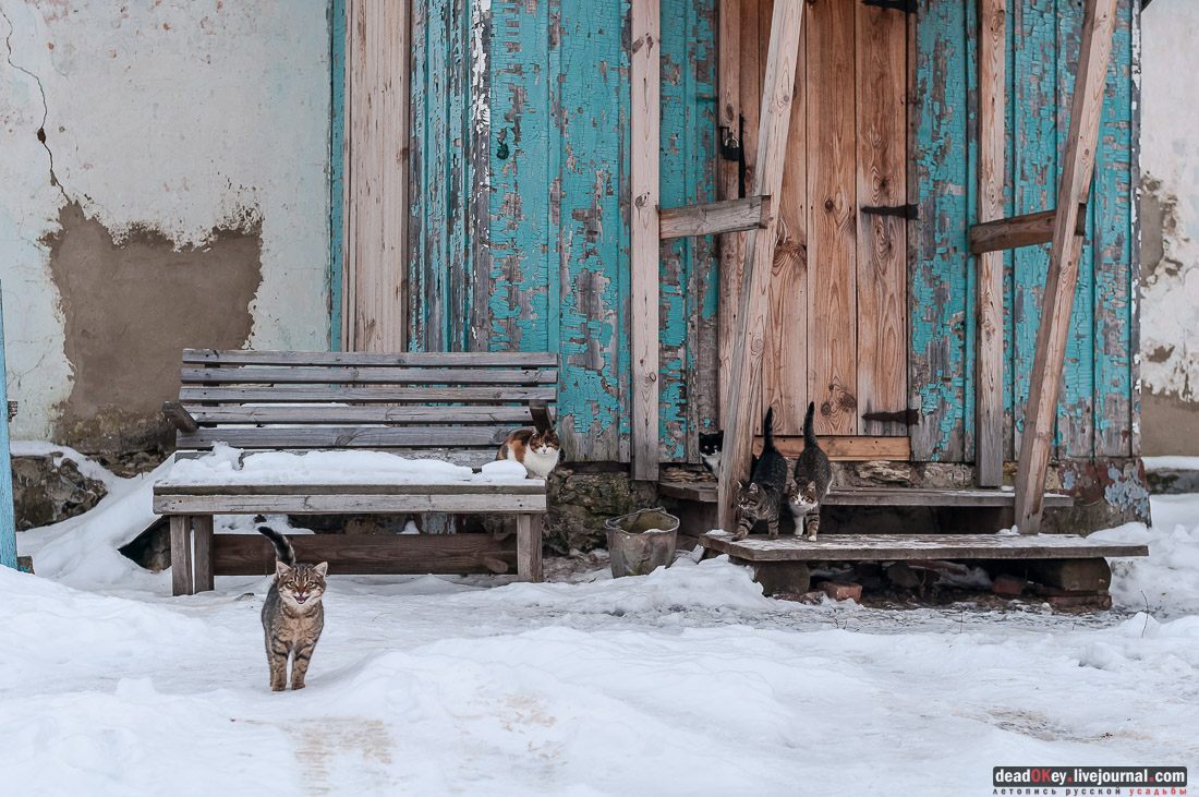 усадьба Репец