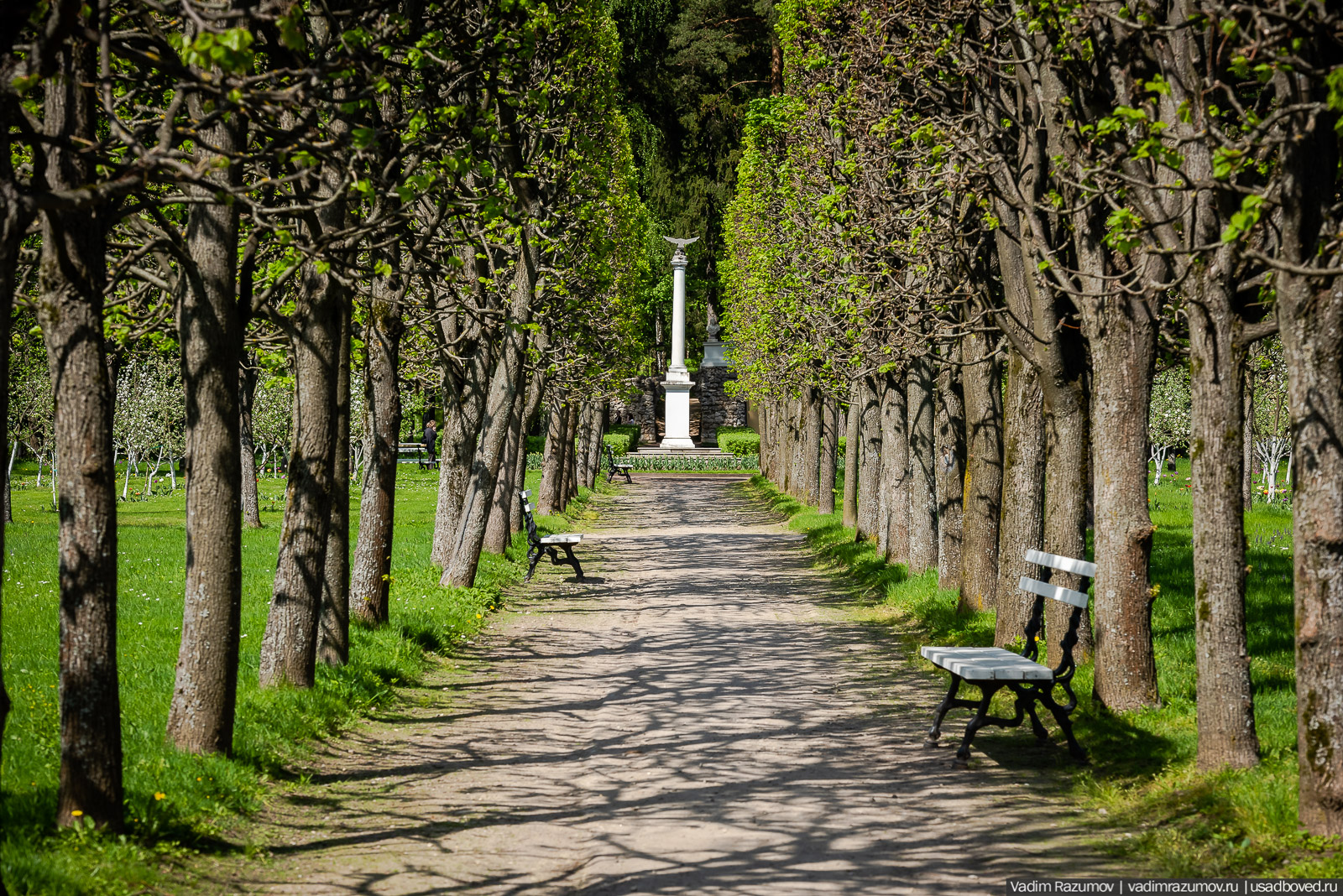 усадьба Архангельское, весна, май 2021