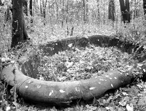 усадьба Архангельское-Тюриково