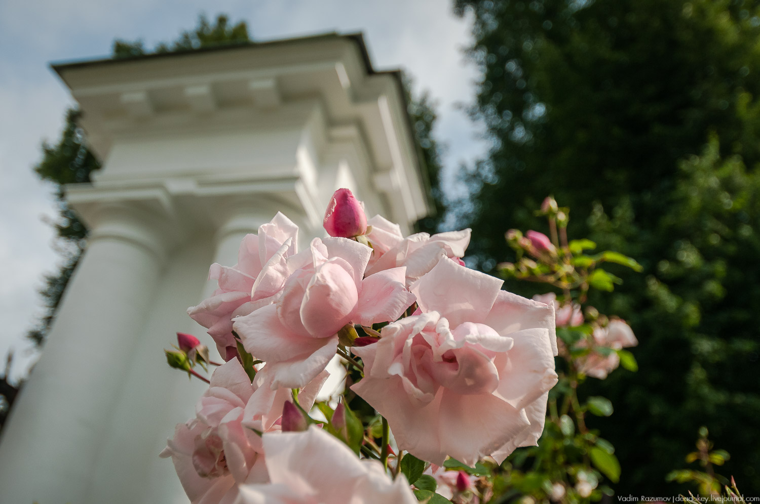 Форум владельцев усадеб в Середниково, 17 июля 2019 года