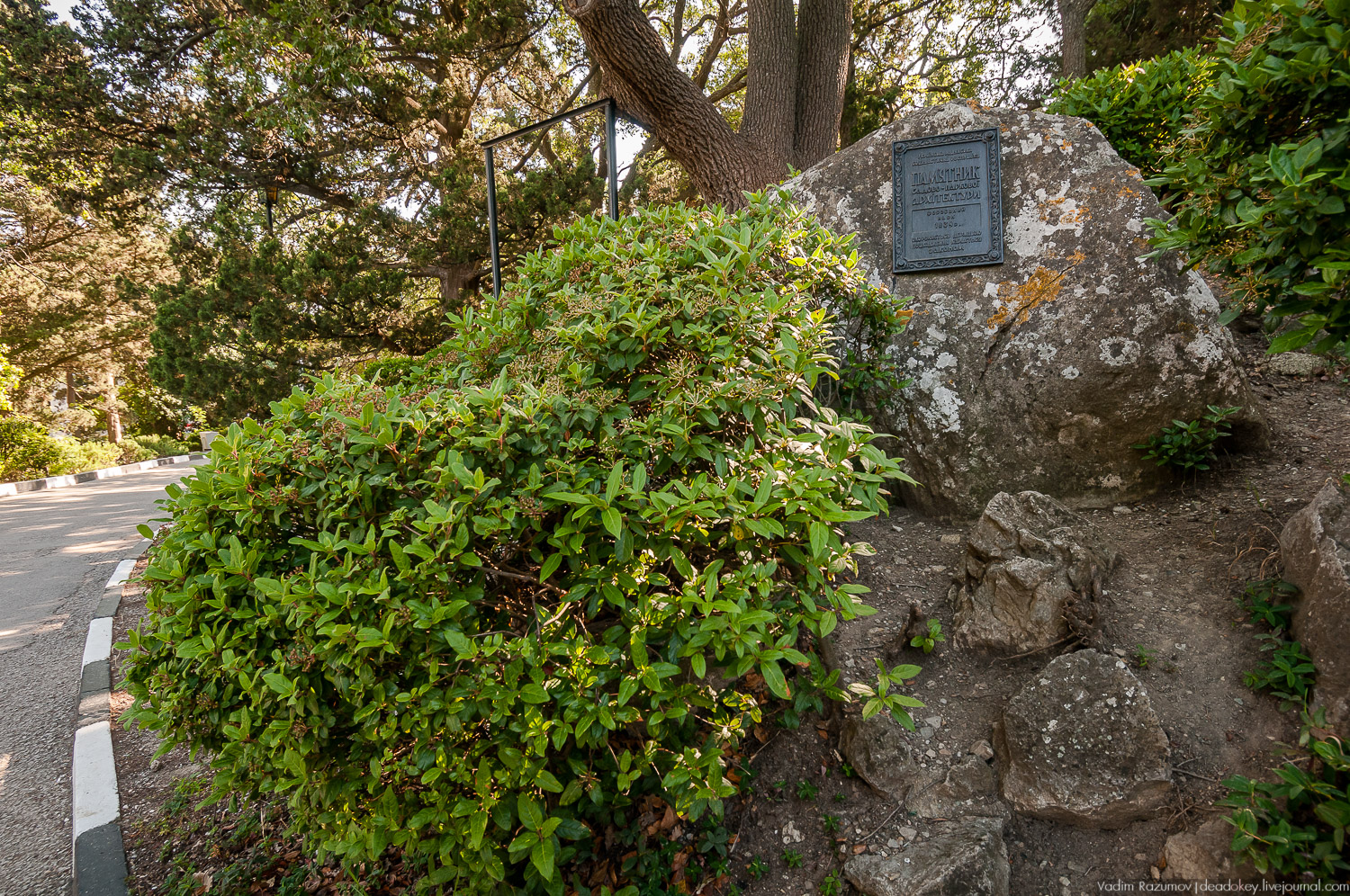 Форос, дворец Кузнецова, Крым