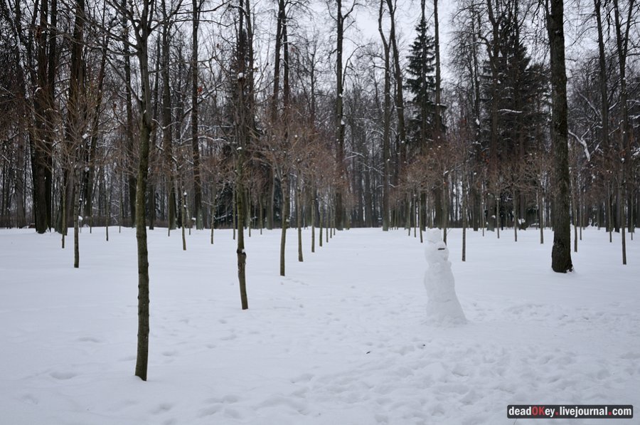 усадьба Остафьево