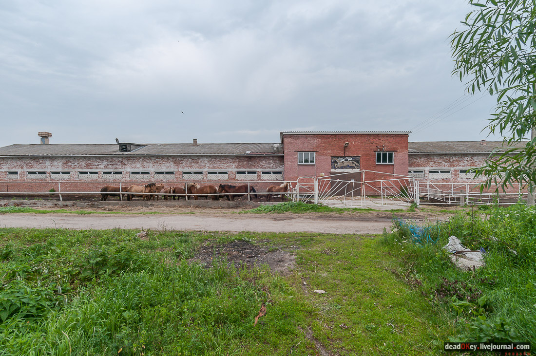 усадьба Дивово