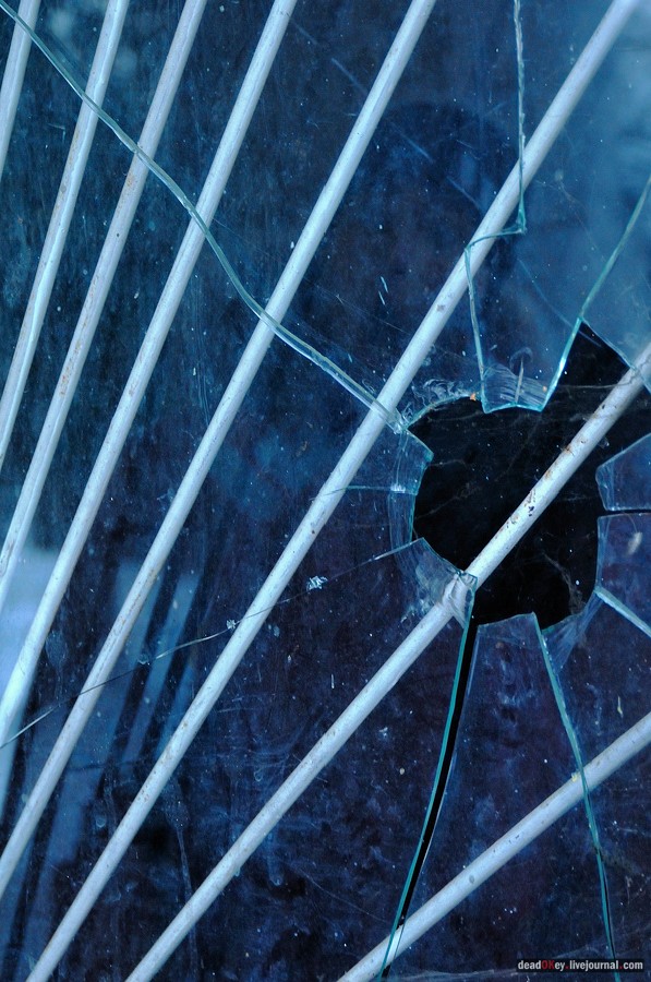 усадьба Медное-Власово