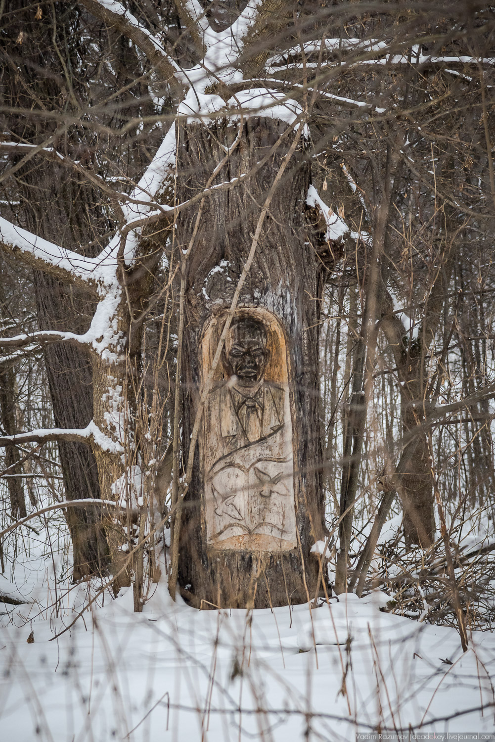 усадьба Знаменское-Садки