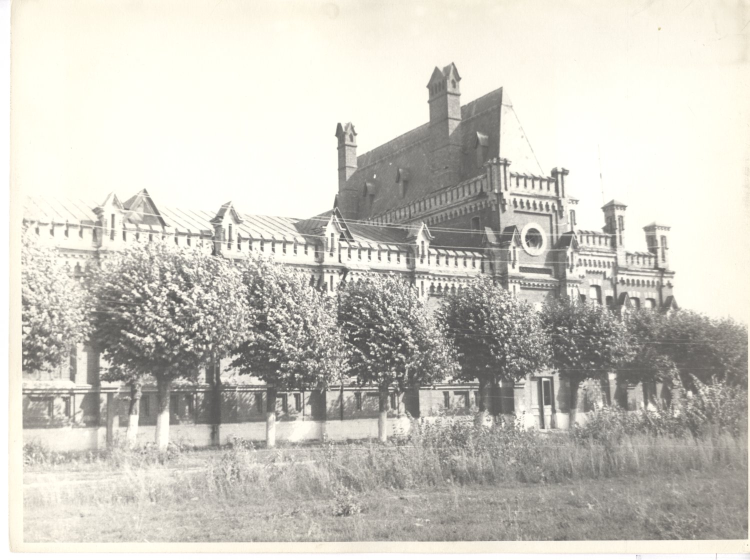 усадьба Старожилово, конезавод