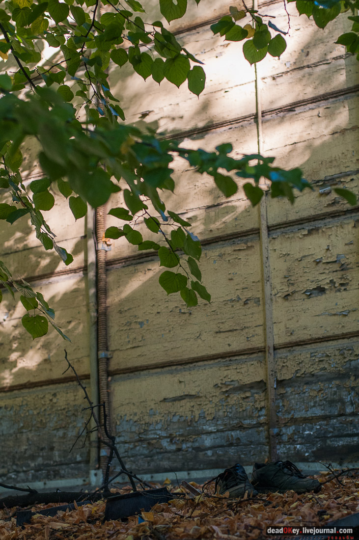 усадьба Мещерское