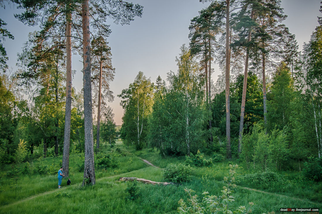 Пейзажный парк в усадьбе Гребнево