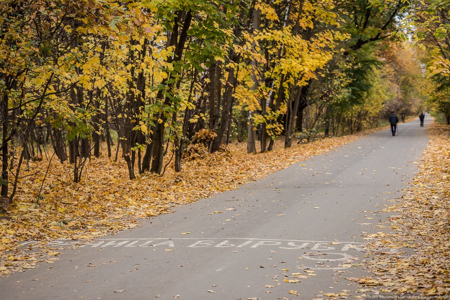 усадьба Кусково, осень 2018 года