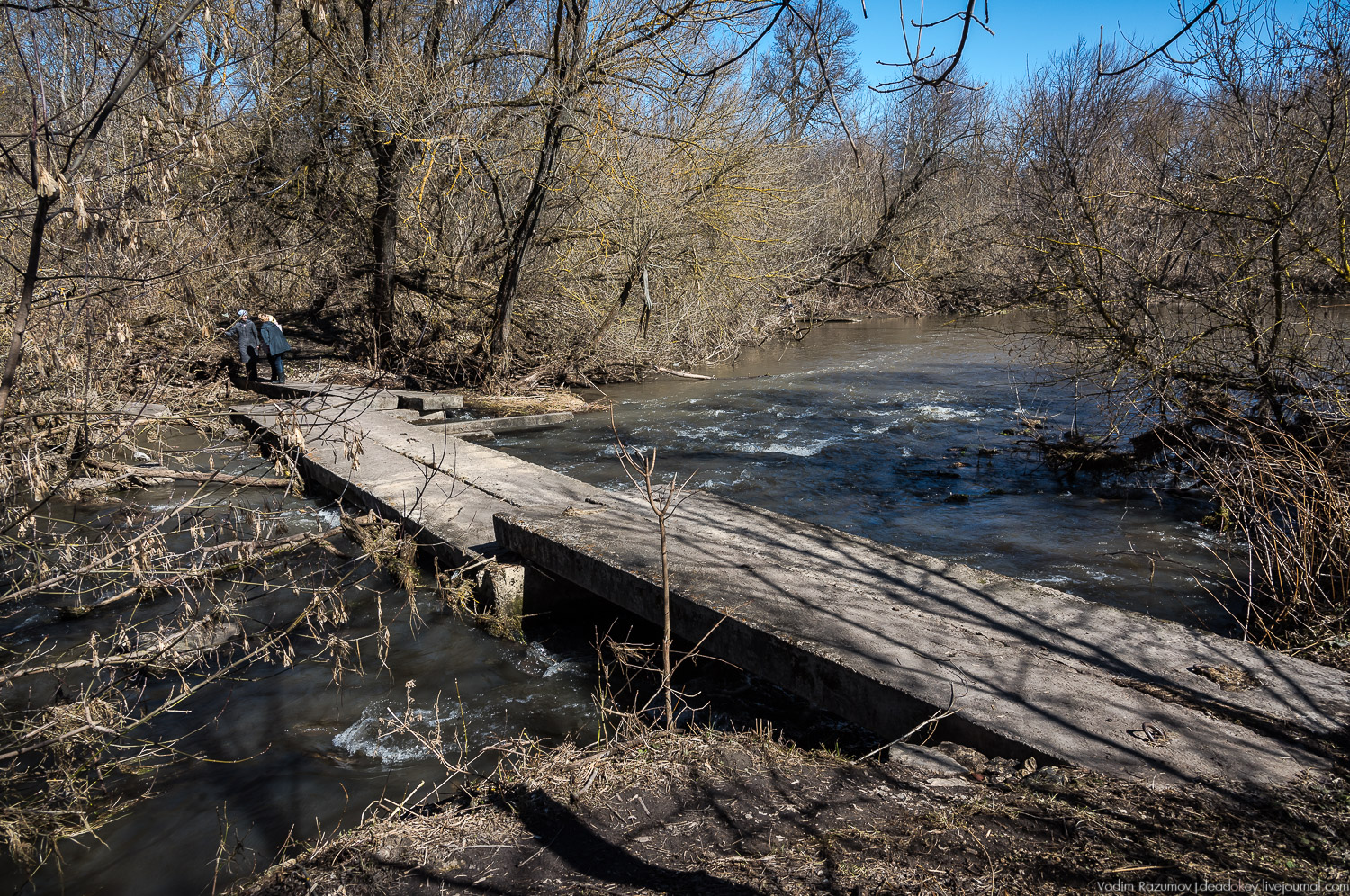 усадьба Моховое, Орловская область
