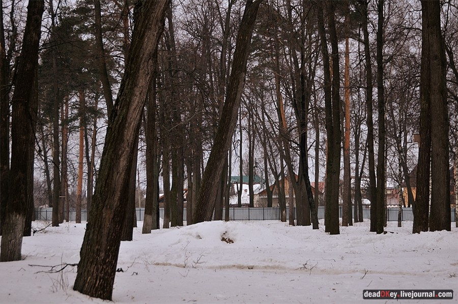 усадьба Успенское