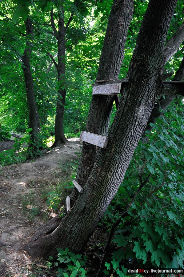 усадьба Городна