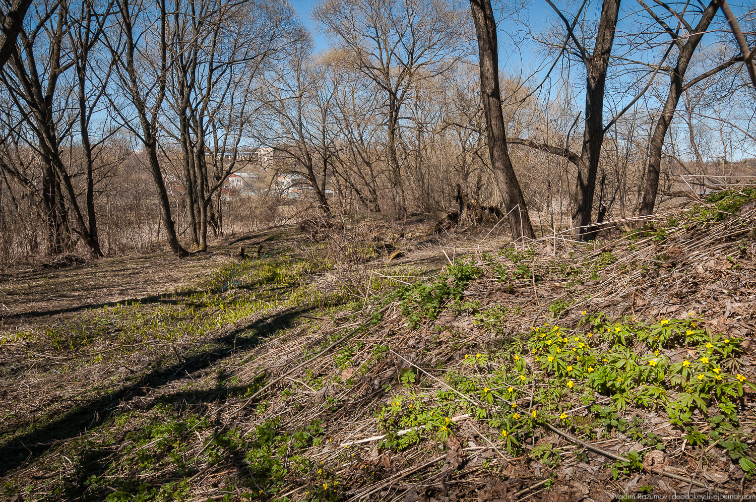 Богородицк, Церерина роща