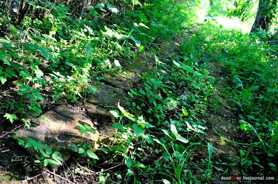 усадьба Талицы