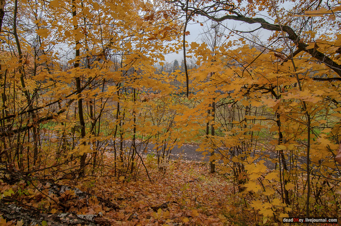 усадьба булочника Филиппова (пос. Спортбаза), Подольский район, Перемышль Московский