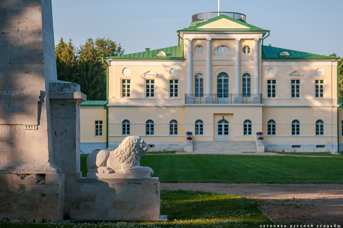 усадьба Степановское-Волосово, фотографии с дрона, шетлендский пони Трамп