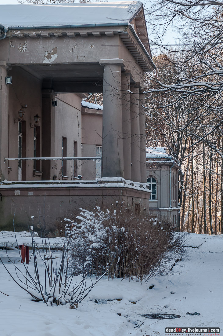 усадьба Васькино