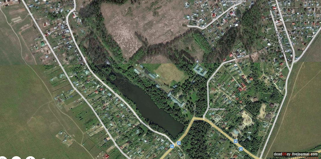 усадьба Васильевское-Скурыгино