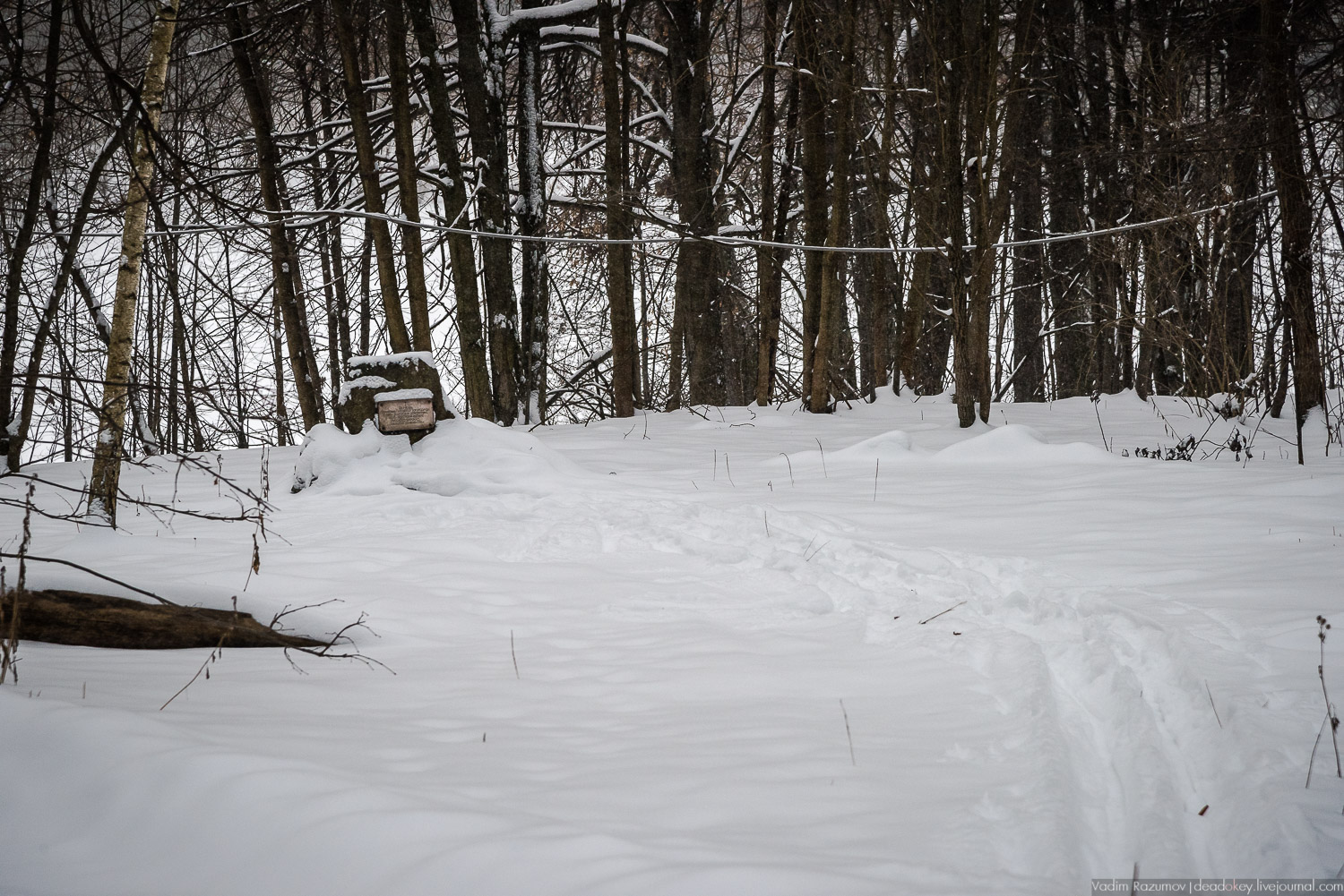 усадьба Знаменское-Садки