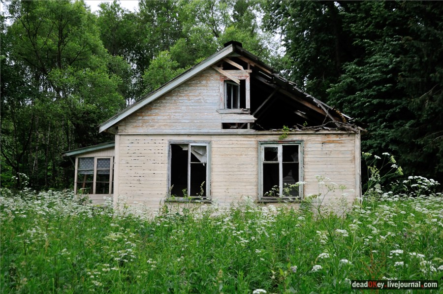 усадьба Паньково