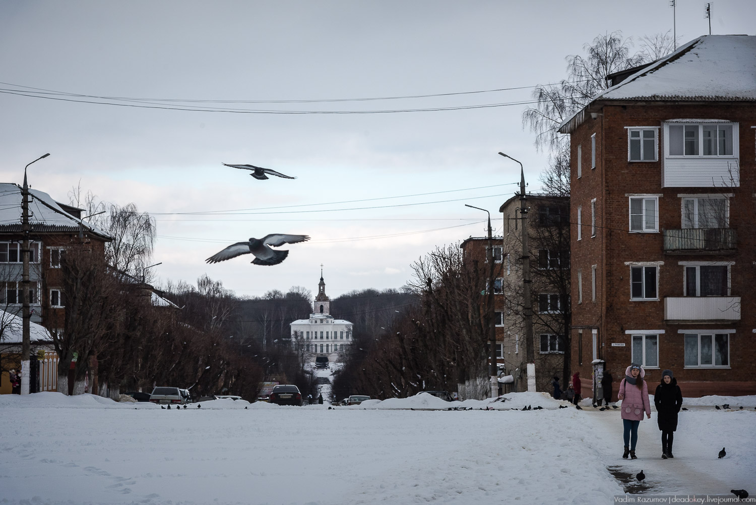 Богородицк, 5 лучей